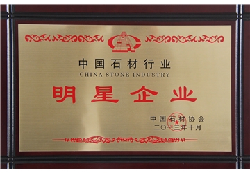 明星企业